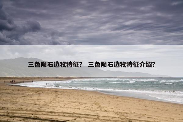 三色陨石边牧特征？ 三色陨石边牧特征介绍？