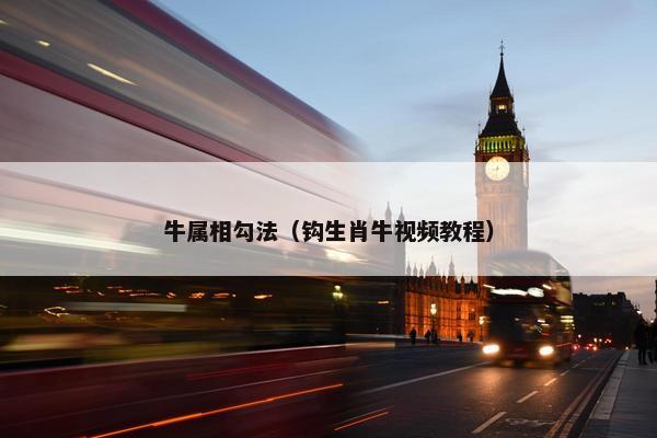 牛属相勾法（钩生肖牛视频教程）