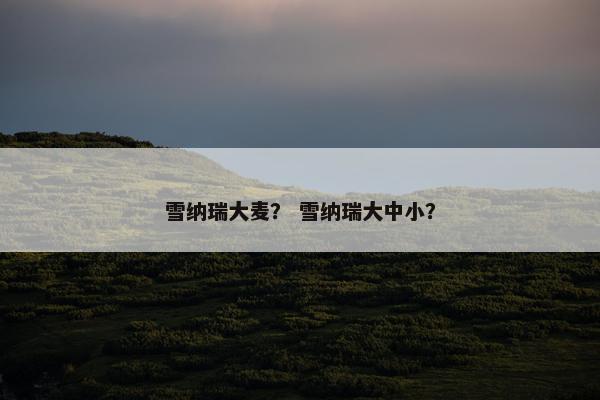 雪纳瑞大麦？ 雪纳瑞大中小？