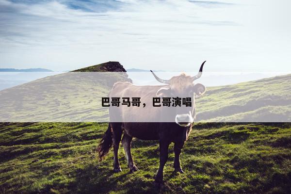 巴哥马哥，巴哥演唱