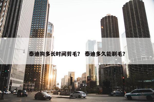 泰迪狗多长时间剪毛？ 泰迪多久能剃毛？