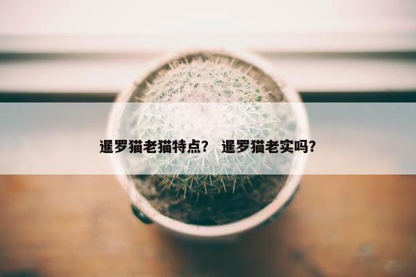 暹罗猫老猫特点？ 暹罗猫老实吗？
