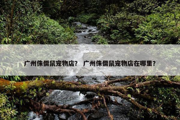 广州侏儒鼠宠物店？ 广州侏儒鼠宠物店在哪里？