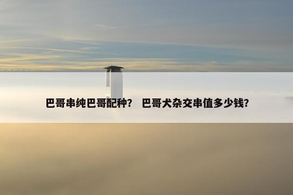 巴哥串纯巴哥配种？ 巴哥犬杂交串值多少钱？