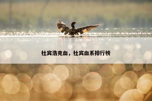 杜宾浩克血，杜宾血系排行榜