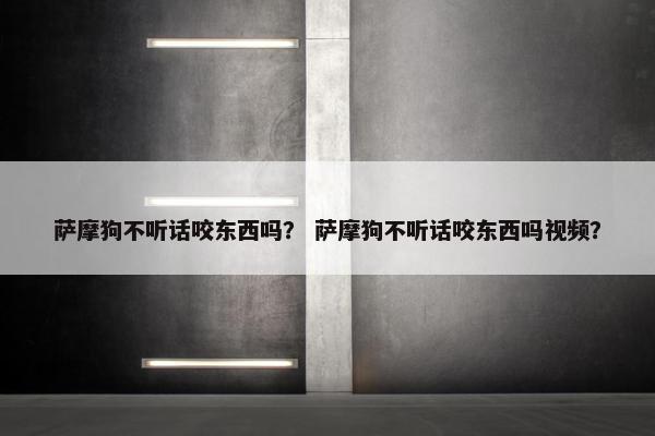 萨摩狗不听话咬东西吗？ 萨摩狗不听话咬东西吗视频？