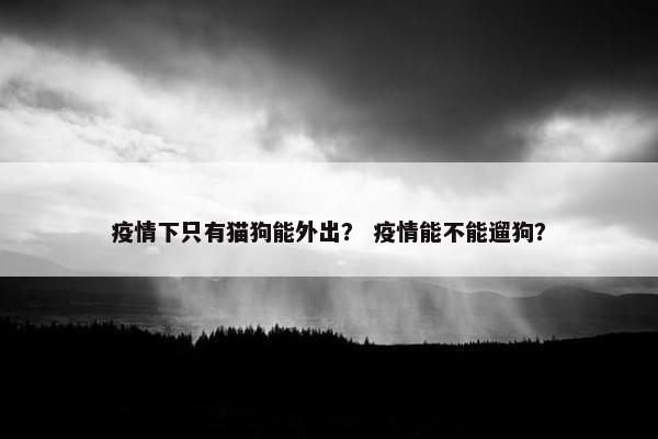 疫情下只有猫狗能外出？ 疫情能不能遛狗？