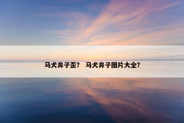 马犬鼻子歪？ 马犬鼻子图片大全？