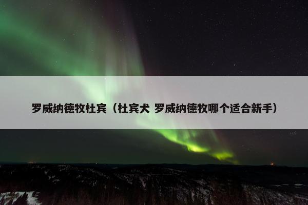 罗威纳德牧杜宾（杜宾犬 罗威纳德牧哪个适合新手）