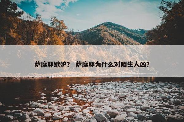 萨摩耶嫉妒？ 萨摩耶为什么对陌生人凶？