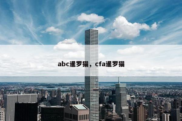 abc暹罗猫，cfa暹罗猫