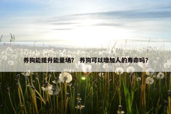 养狗能提升能量场？ 养狗可以增加人的寿命吗？