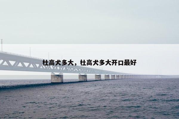 杜高犬多大，杜高犬多大开口最好