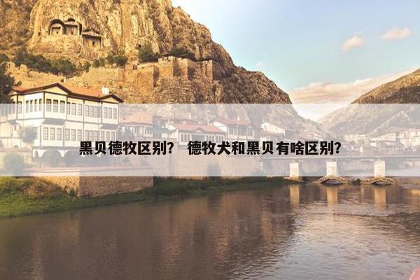 黑贝德牧区别？ 德牧犬和黑贝有啥区别？