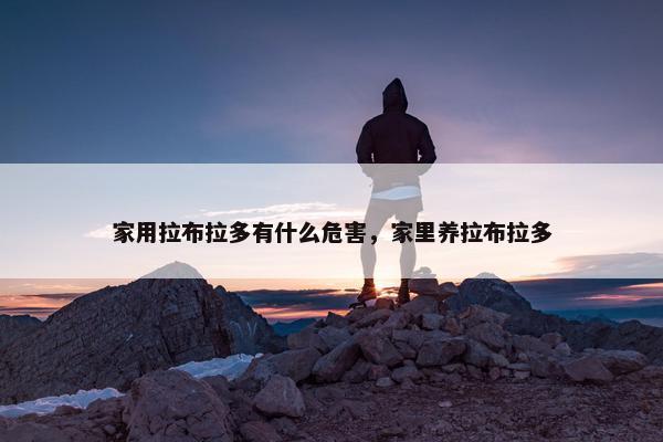 家用拉布拉多有什么危害，家里养拉布拉多