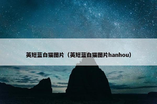 英短蓝白猫图片（英短蓝白猫图片hanhou）