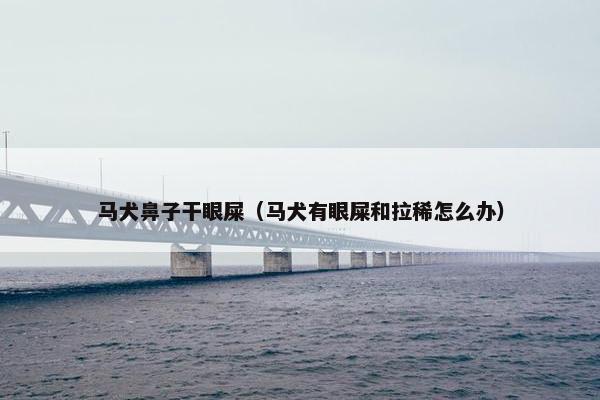 马犬鼻子干眼屎（马犬有眼屎和拉稀怎么办）