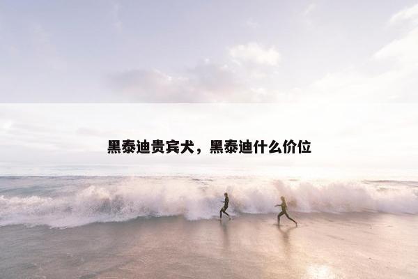 黑泰迪贵宾犬，黑泰迪什么价位