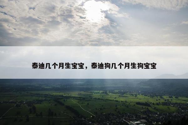 泰迪几个月生宝宝，泰迪狗几个月生狗宝宝