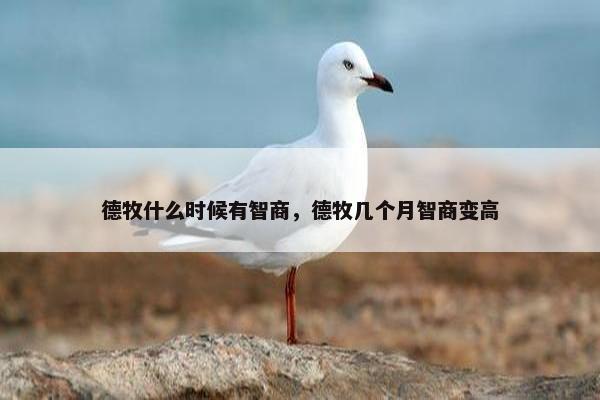 德牧什么时候有智商，德牧几个月智商变高