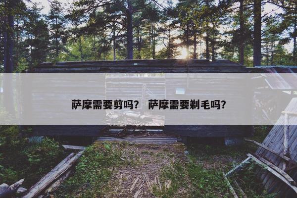 萨摩需要剪吗？ 萨摩需要剃毛吗？