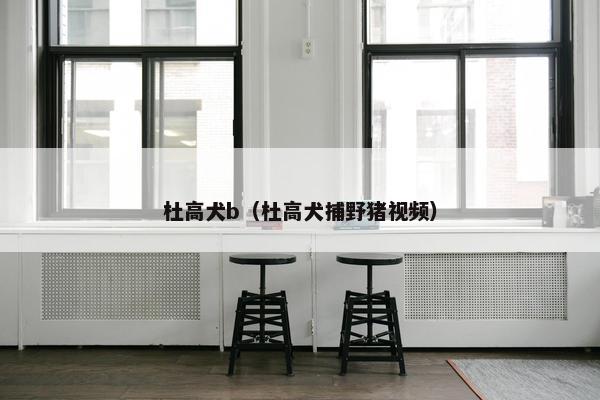 杜高犬b（杜高犬捕野猪视频）