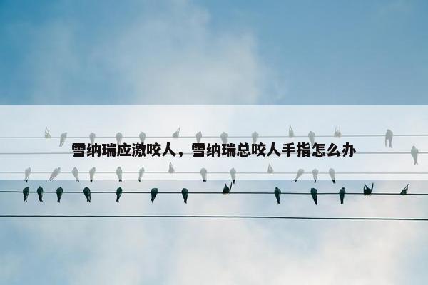 雪纳瑞应激咬人，雪纳瑞总咬人手指怎么办