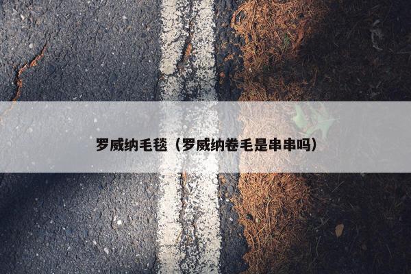 罗威纳毛毯（罗威纳卷毛是串串吗）