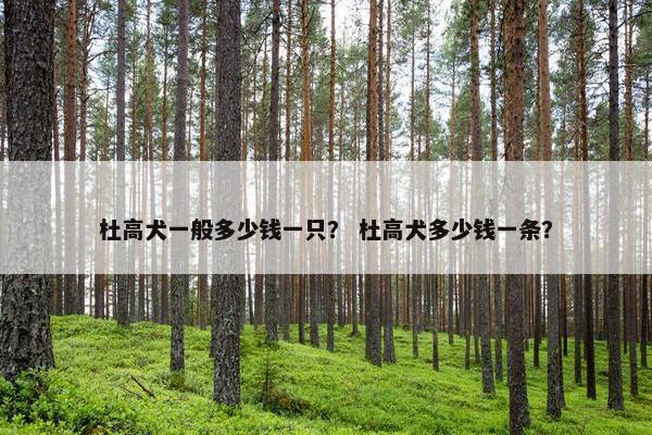 杜高犬一般多少钱一只？ 杜高犬多少钱一条？