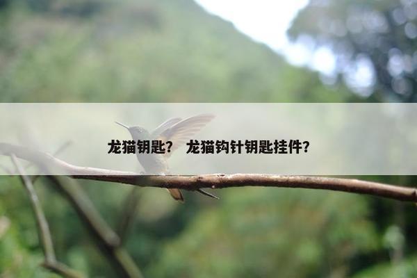 龙猫钥匙？ 龙猫钩针钥匙挂件？