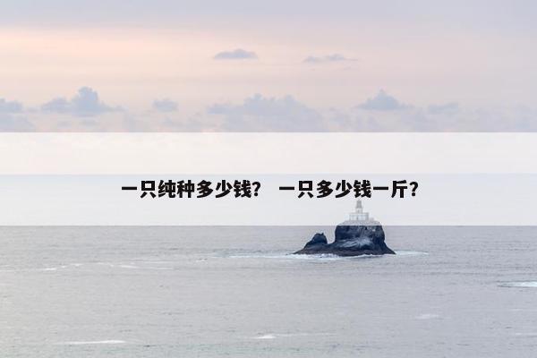 一只纯种多少钱？ 一只多少钱一斤？