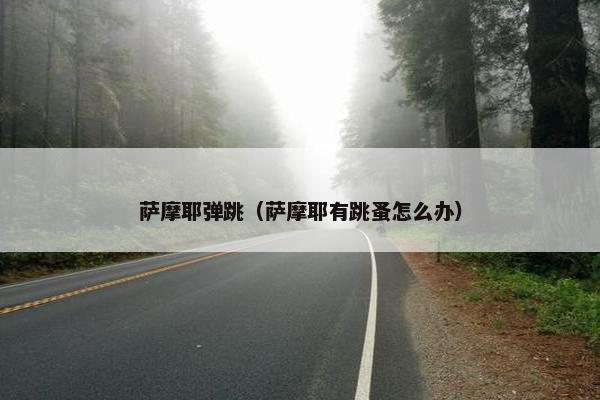 萨摩耶弹跳（萨摩耶有跳蚤怎么办）