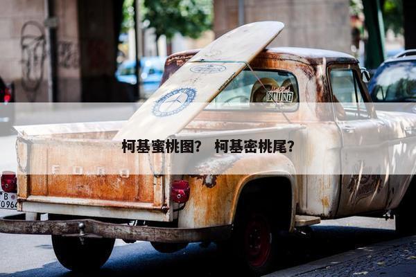 柯基蜜桃图？ 柯基密桃尾？