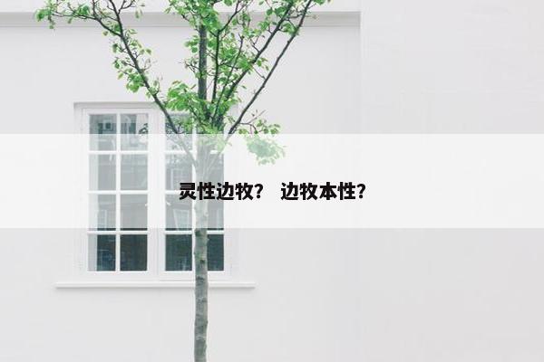 灵性边牧？ 边牧本性？