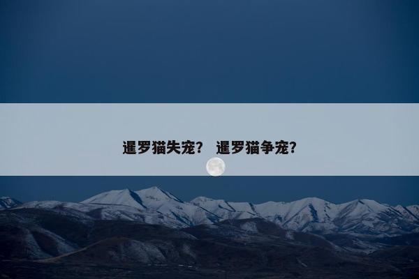 暹罗猫失宠？ 暹罗猫争宠？