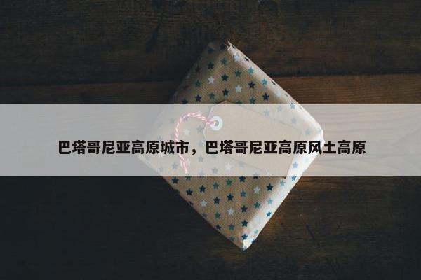 巴塔哥尼亚高原城市，巴塔哥尼亚高原风土高原