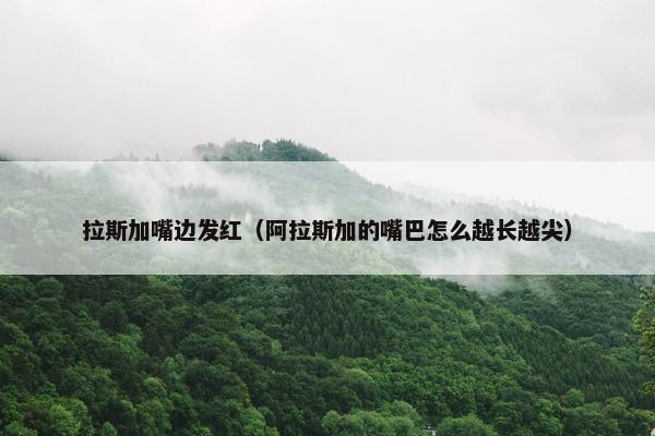 拉斯加嘴边发红（阿拉斯加的嘴巴怎么越长越尖）