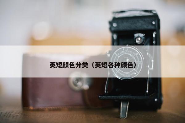 英短颜色分类（英短各种颜色）