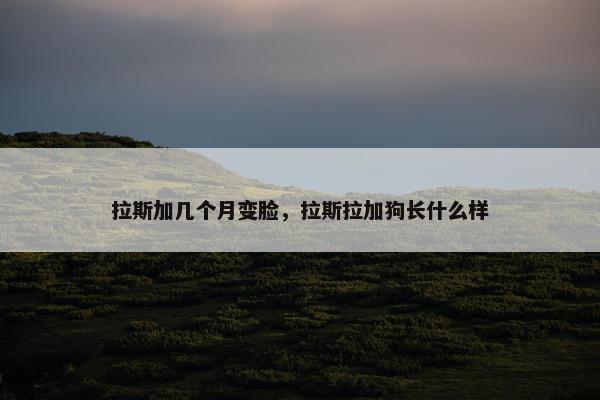 拉斯加几个月变脸，拉斯拉加狗长什么样