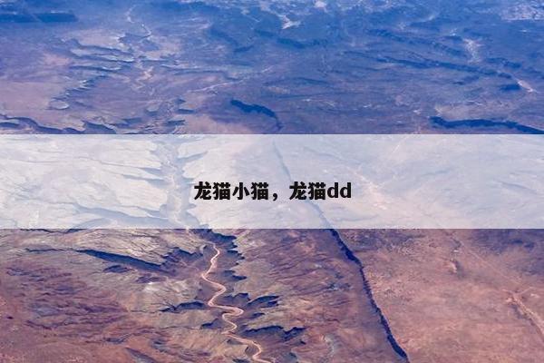 龙猫小猫，龙猫dd