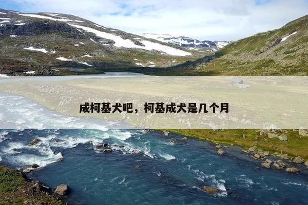 成柯基犬吧，柯基成犬是几个月