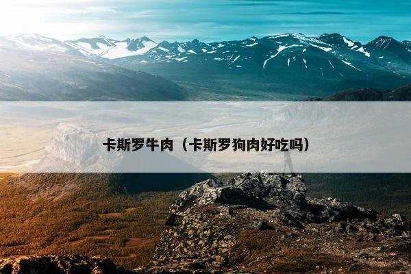 卡斯罗牛肉（卡斯罗狗肉好吃吗）