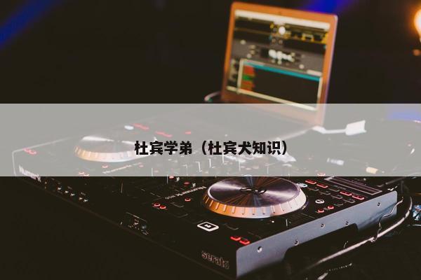 杜宾学弟（杜宾犬知识）