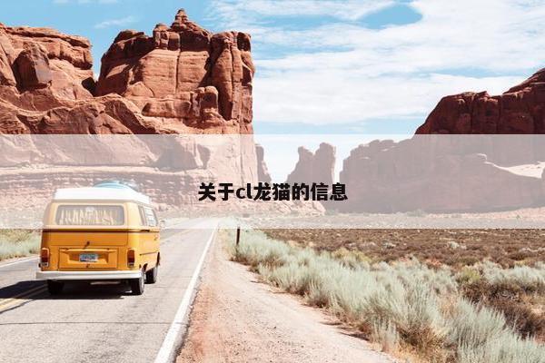关于cl龙猫的信息