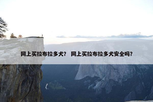 网上买拉布拉多犬？ 网上买拉布拉多犬安全吗？