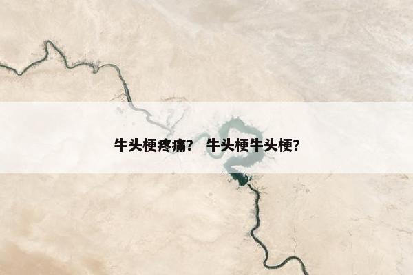牛头梗疼痛？ 牛头梗牛头梗？