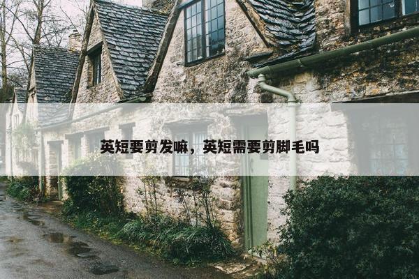英短要剪发嘛，英短需要剪脚毛吗