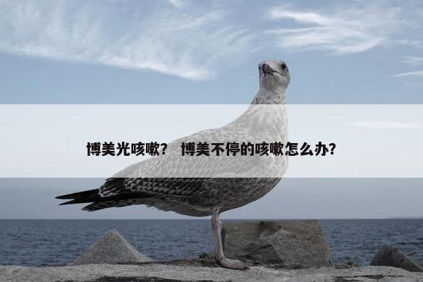 博美光咳嗽？ 博美不停的咳嗽怎么办？