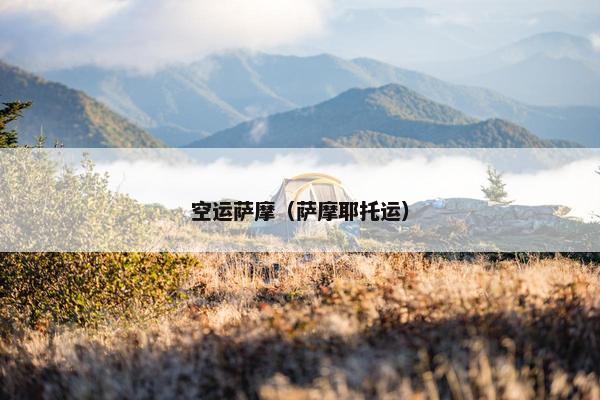 空运萨摩（萨摩耶托运）