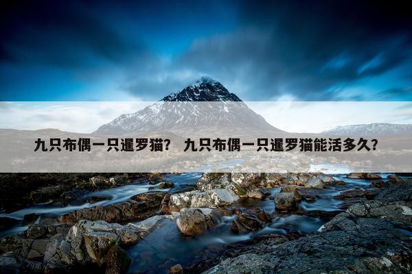 九只布偶一只暹罗猫？ 九只布偶一只暹罗猫能活多久？